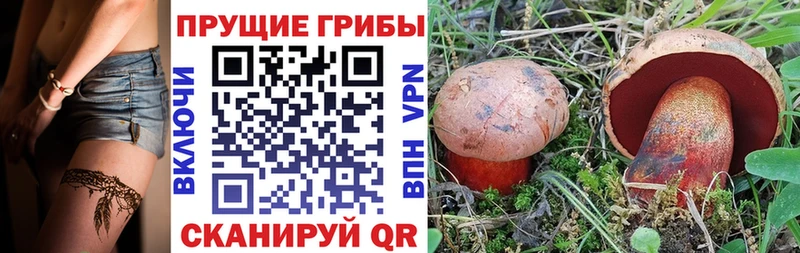 Псилоцибиновые грибы мухоморы  Купить закладки  Тобольск 